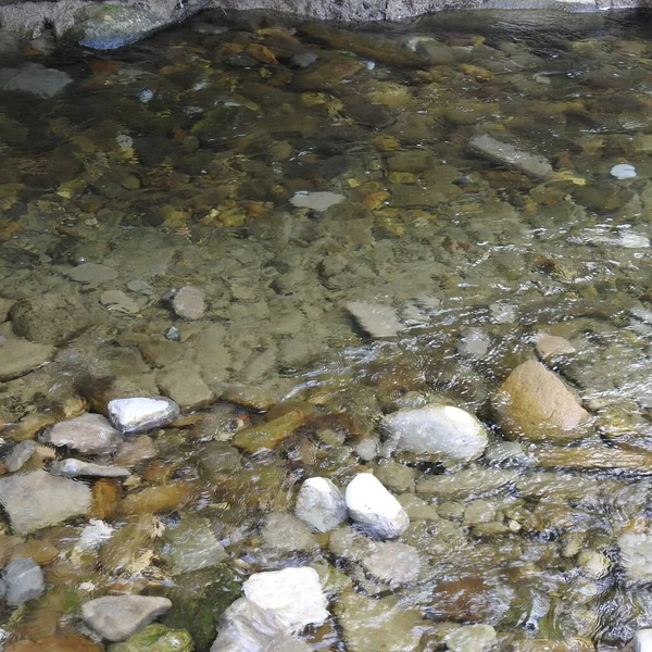 Kayalık yataklı sığ bir nehir.