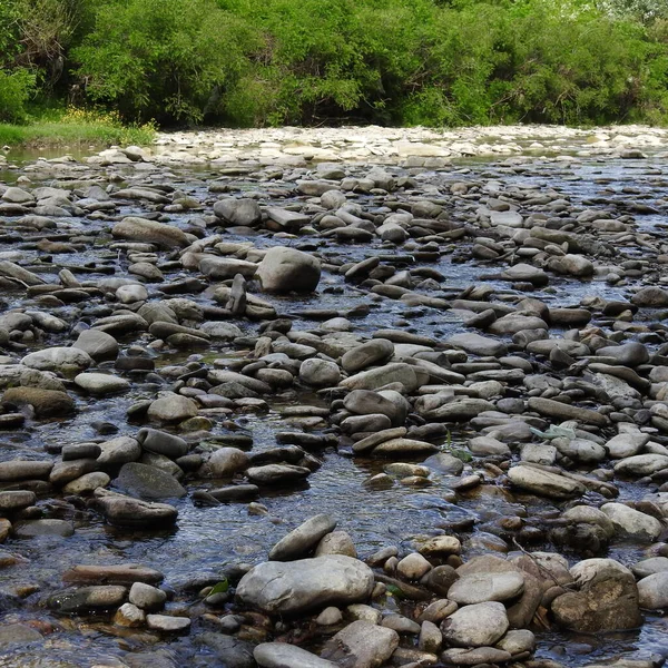 Grund Flod Med Stenig Säng — Stockfoto