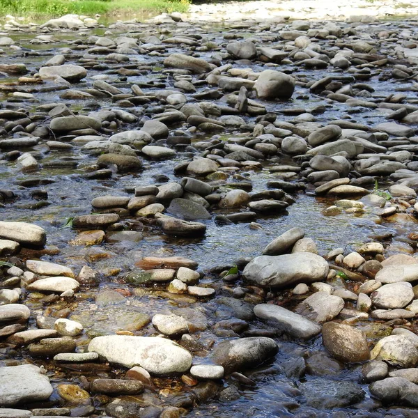 Ein Flacher Fluss Mit Felsigem Bett — Stockfoto
