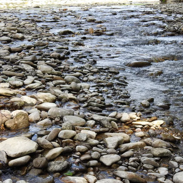 Ein Flacher Fluss Mit Felsigem Bett — Stockfoto