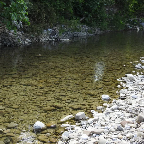 Płytka Rzeka Kamienistym Łóżkiem — Zdjęcie stockowe