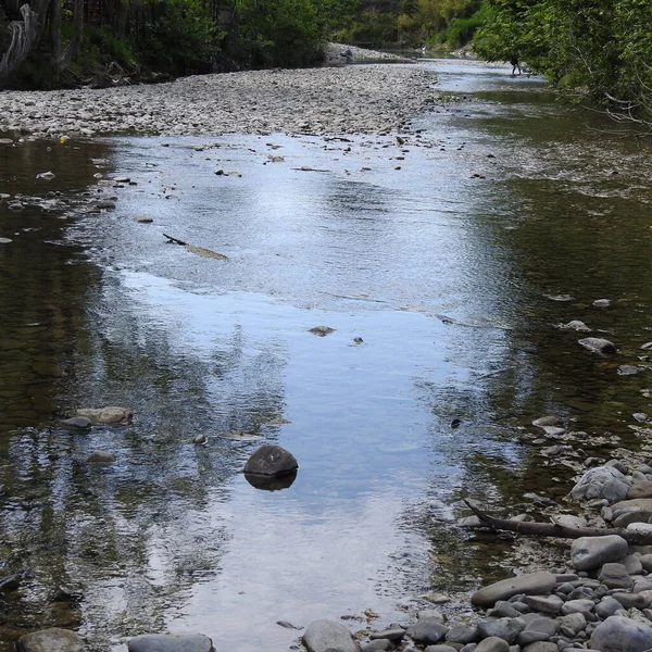 Grund Flod Med Stenig Säng — Stockfoto