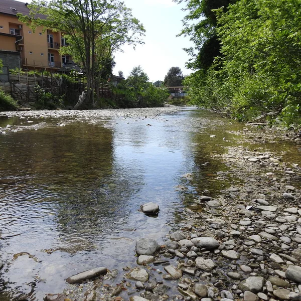 Shallow River Rocky Bed — Stock Photo, Image