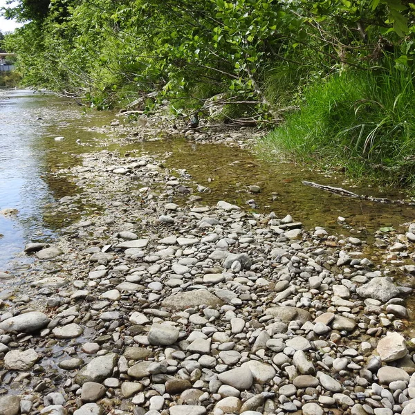 Ein Flacher Fluss Mit Felsigem Bett — Stockfoto