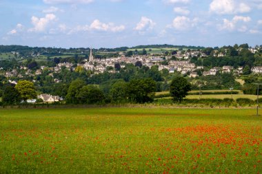 Yaz ortası Cotswolds 'un Painswick, Gloucestershire, İngiltere kırsal manzarası