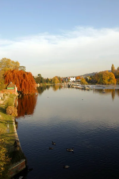 英格兰 Chilterns Buckinghamshire 秋天的颜色沿着泰晤士河在Marlow — 图库照片