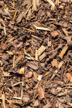 Bahçe düzenleme parçalanmış kabuk tam çerçeve dokusu yakın çekim