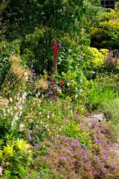 Colouful English Summer Garden Flower Border — Stock Photo, Image
