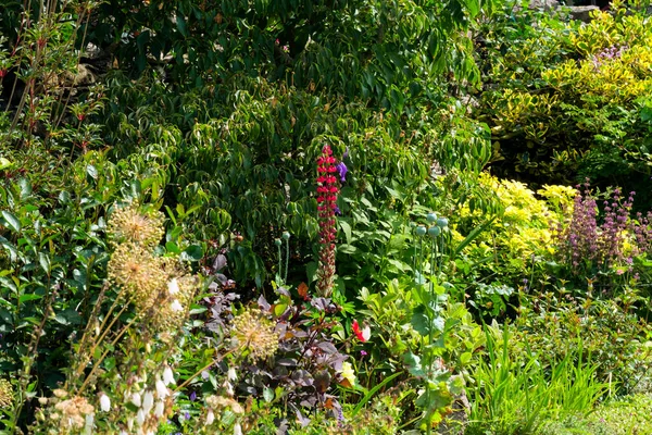 Colouful Czech Summer Garden Flower Border — Stock fotografie