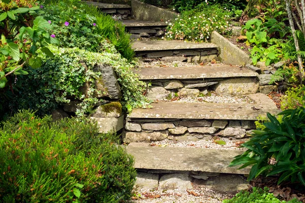 Mature Summer Garden Shrubs Crowded Alongside Rustic Stone Slab Path — Stock Photo, Image