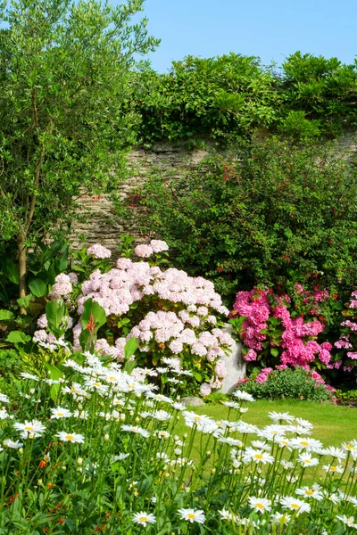 Сади Великої Британії Гарний Літній Обнесений Стінами Сад Квітковими Стінами — стокове фото