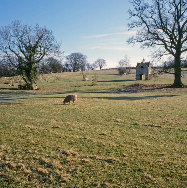 Enero 1999 Pintoresca Campiña Cerca Chastleton Gloucestershire Cotswolds Inglaterra Reino — Foto de Stock