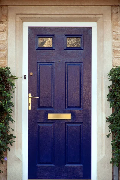 Puerta Delantera Pintada Azul Moderno Flanqueada Por Arbustos — Foto de Stock