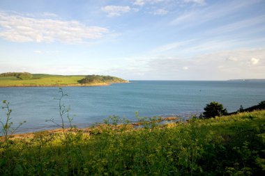 St. Anthony Head ve deniz fenerine bakın, St Mawes, Cornwall, İngiltere, İngiltere, Avrupa