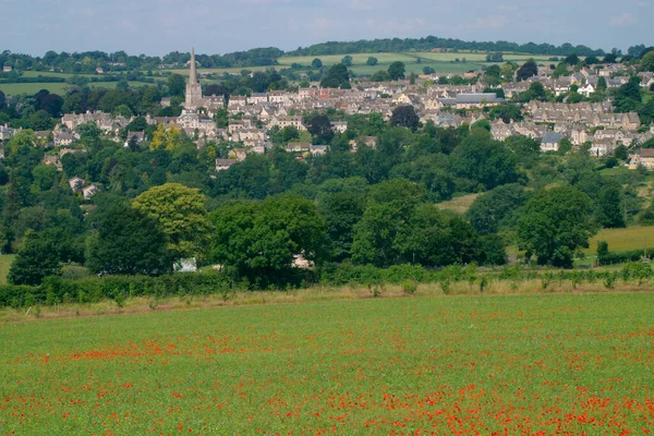 Haşhaş Tarlası Painswick Gloucestershire Cotswolds Ngiltere Ngiltere — Stok fotoğraf