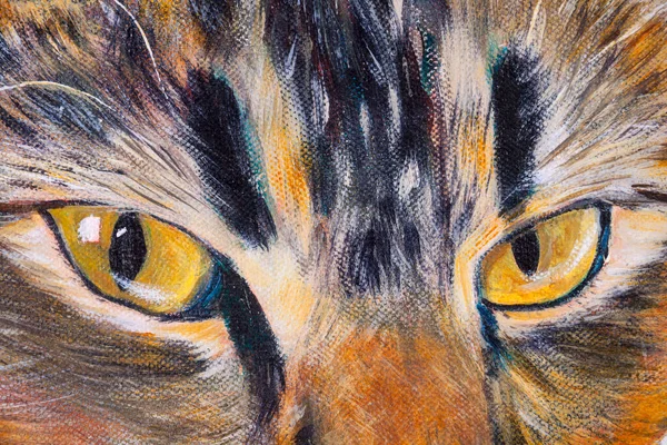 Деталі Акрилових Картин Показують Колір Текстури Техніку Кішки Очі Крупним — стокове фото