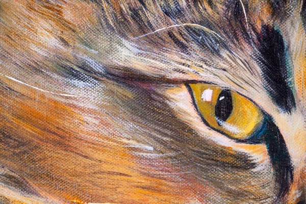 Renkleri Dokuları Teknikleri Gösteren Akrilik Resimlerin Detayları Bir Kedinin Gözü — Stok fotoğraf