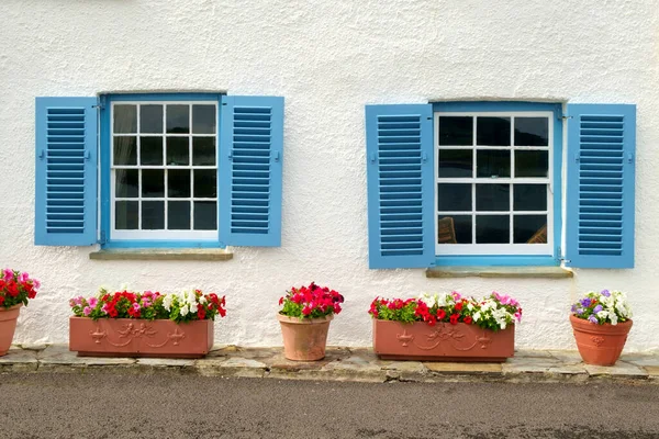 Flores Coloridas Verano Ventanas Azules Cerradas Una Casa Junto Mar — Foto de Stock