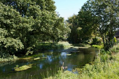 Yaz güneşinde Ampney Brook, Cirencester, Gloucestershire yakınlarındaki Cotswolds 'da huzurlu bir dere.