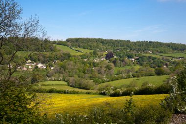 Bahar güneşinde huzurlu kırsal Slad Vadisi Cotswold, Gloucestershire, İngiltere.