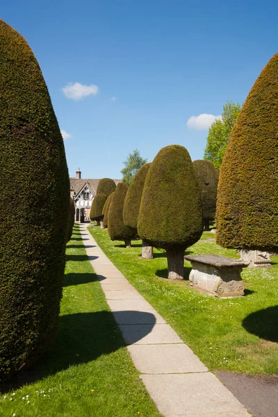 Ηνωμένο Βασίλειο Gloucestershire Cotswolds Painswick Churchyard Και Γνωστά Του Δένδρα — Φωτογραφία Αρχείου