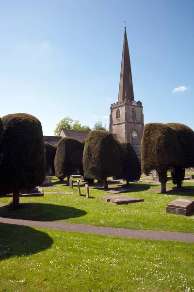 Chiesa Cimitero Tasso Alberi Painswick Nel Cotswolds Gloucestershire Regno Unito — Foto Stock