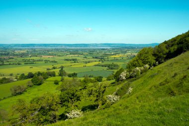 Coaley Tepesi 'nden The Severn Vale' in Nympsfield, Cotswolds, Gloucestershire, İngiltere yakınlarındaki tarlalarına bakın.