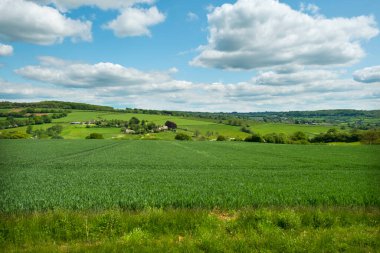 Kırsal Gloucestershire Cotswolds Painswick Beacon, İngiltere yakınlarındaki bahar manzarası