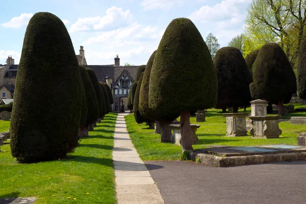 英国格洛斯特郡Painswick教堂墓地中有名的紫杉树 — 图库照片