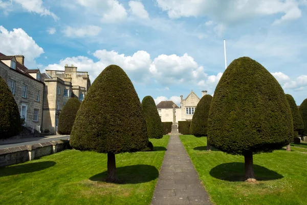 英国格洛斯特郡Painswick教堂墓地中有名的紫杉树 — 图库照片