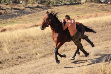 Adam bir horse2 biniyor