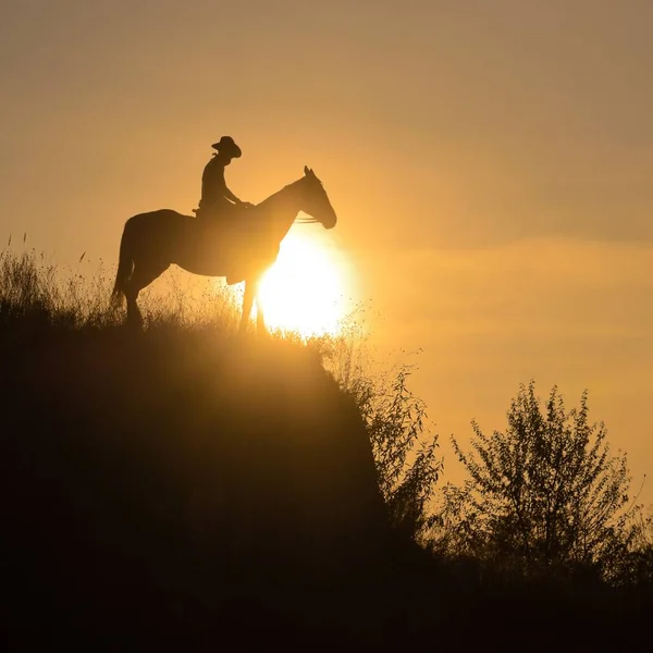 Silhouette of a guy sitting astride a horse over the edge of a cliff in the rays of the sun. — Stock Photo, Image