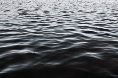 deniz güzel armonik yapısı ve yansımalar