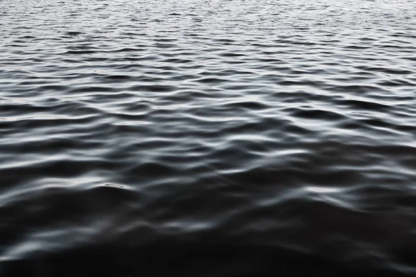 deniz güzel armonik yapısı ve yansımalar