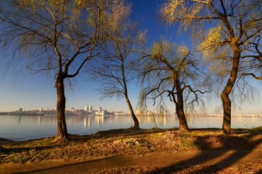 Nehir kıyısındaki ağaçlar