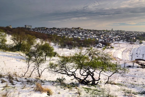 Árboles en las colinas de primavera cubiertos de nieve III — Foto de Stock