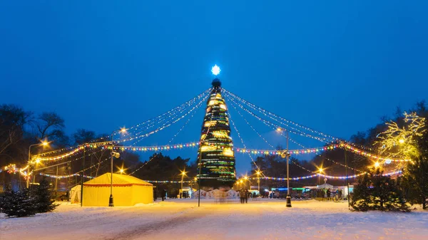 Nieuwe jaar boom met verlichte verlichting in de avond — Stockfoto