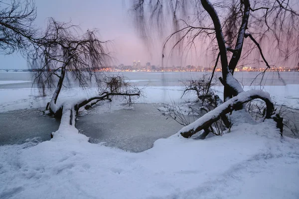 Tree of coast frozen river at night — Stock Photo, Image