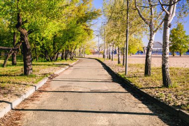 Sihirli sabah yükselen güneşin bir oyun ışık sokak şehir parkı içinde oluşturma.