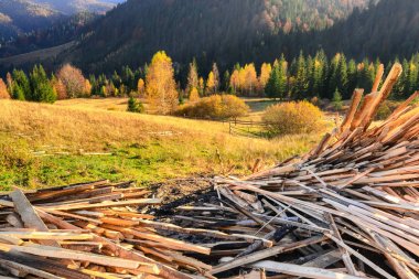 batan güneşin altın ışınları bir ormanda karşı ahşap atık dökümü