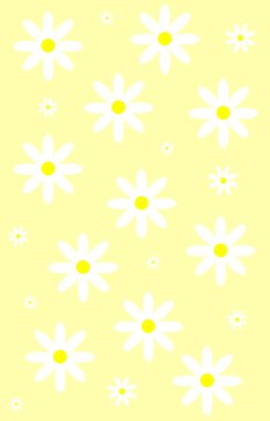 Papatya deseni. Açık sarı arka planda beyaz çiçekler. Vektör resmi.