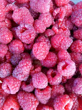 Olgun ahududu. Hasat zamanı