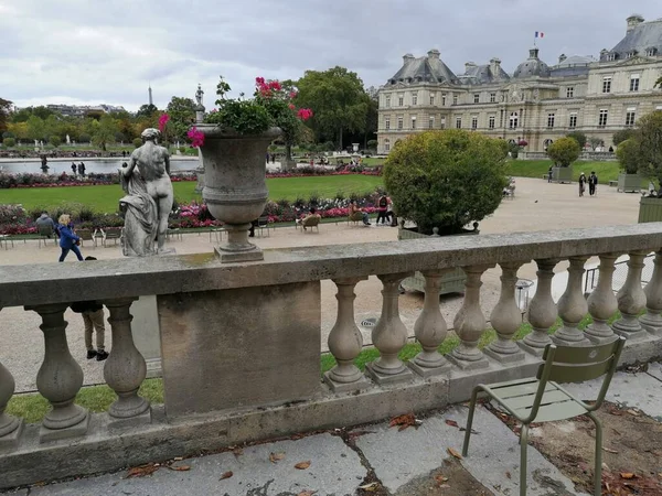 Plante Dans Jardin Luxembourgeois — Photo