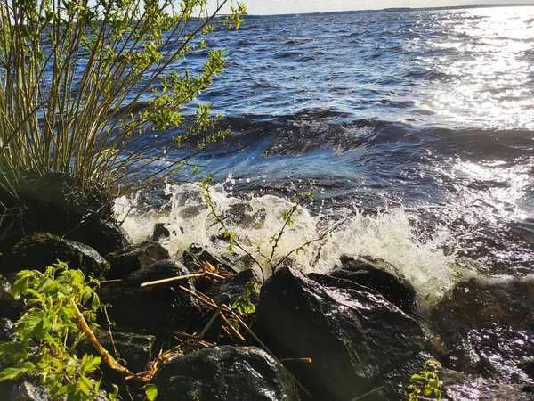 Vous Détendre Sur Côte Rivière — Photo