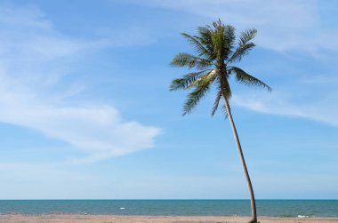 Gökyüzü arka planında güneş ışığı olan tropikal palmiye ağacını kopyala. 