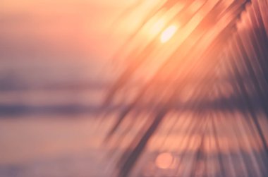 Güzel doğa yeşil palmiye yaprağı bokeh güneş ışık dalga arka plan ile tropik sahilde bulanıklık.