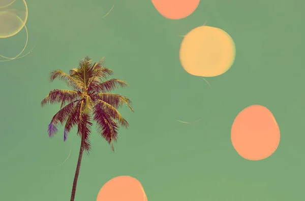 Palm tree double exposure with colorful bokeh light abstract background. — Stock Photo, Image