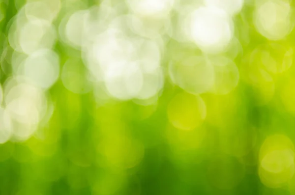 Doğa yeşil bokeh güneş ışığı — Stok fotoğraf