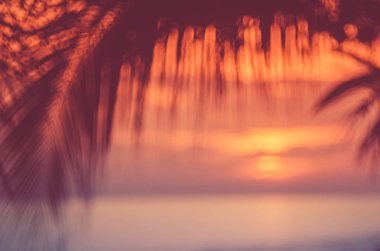Sunset beach bokeh güneş ışık dalga ve palmiye yaprağı arka plan ile bulanıklık. 