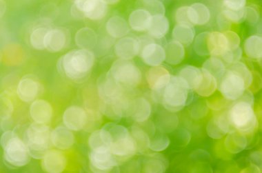Doğa yeşil bokeh güneş ışığı 